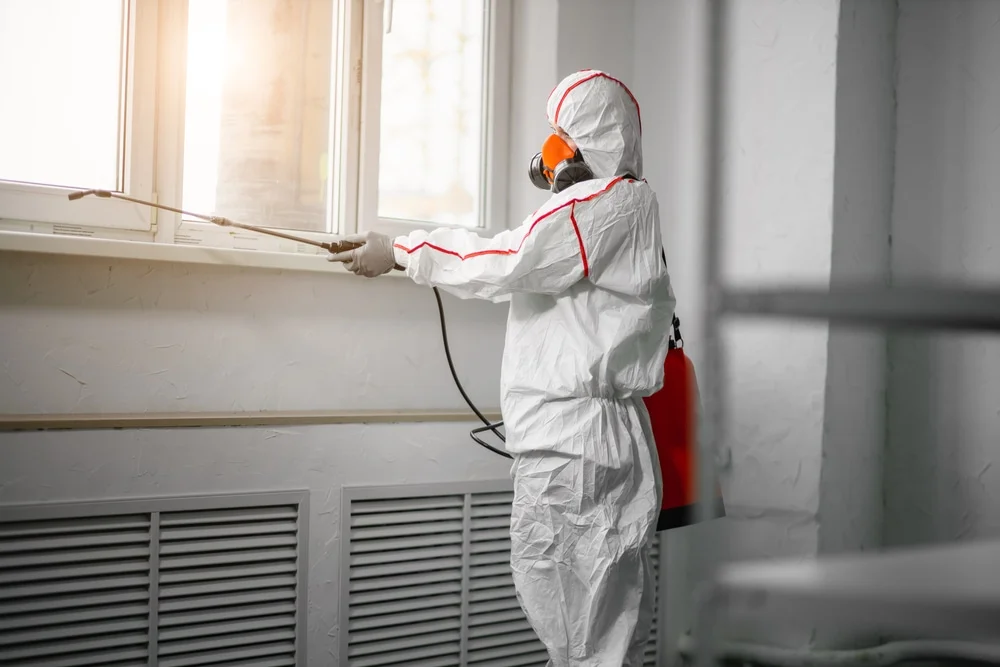 Professional mold remediation services in Flovilla, GA